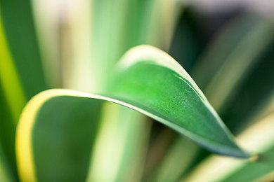 《深岩银河：幸存者》公开抢先体验数据：3600万矮人阵亡